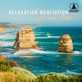 Mindfulness Meditation Music Spa Maestro - Relaxation Meditation for Stress Relief - Yoga Exercises, Sleep Night Music, Reiki Zen Spa, Study, Mindfulness & Nature Sounds