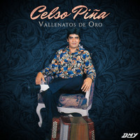 Celso Piña - Vallenatos De Oro