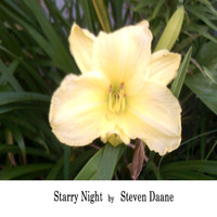Steven Daane - Starry Night