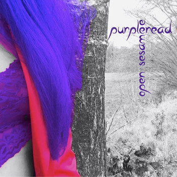 Purpleread - Open Sesame