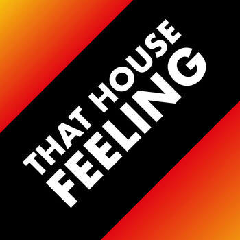 Various Artists - That House Feeling