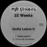 22 Weeks - Gotta Leave It
