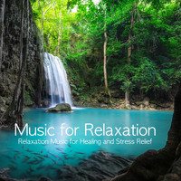 Relaxation Meditation and Spa - Music for Relaxation: Relaxation Music for Healing and Stress Relief
