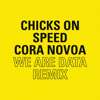Chicks On Speed - We Are Data