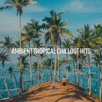 Academia de Música Chillout, Beach House Chillout Music Academy, Beach House Chillout Music Academy & Cool Chillout Zone - Eternal Erotic Waves