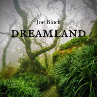 Joe Black - Dreamland