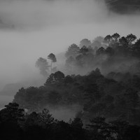 Cascada de Lluvia, Relajación, Sonido Del Bosque y Naturaleza - 30 Canciones Serenas Para El Ambiente Inviernol Perfecto