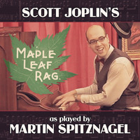 Martin Spitznagel - Maple Leaf Rag (Live)