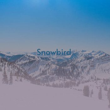 Various Artists - Snowbird