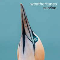 Weathertunes - Sunrise