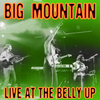 Big Mountain - Live at the Belly Up
