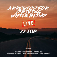 ZZ Top - Arrested For Driving While Blind (Live)