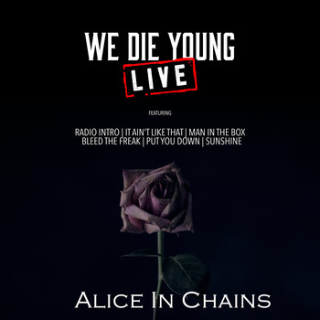 Alice In Chains - We Die Young (Live)