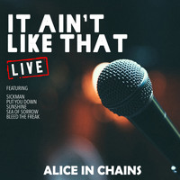Alice In Chains - It Aint Like That (Live)