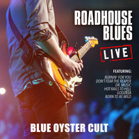 Blue Oyster Cult - Roadhouse Blues (Live)
