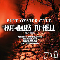 Blue Oyster Cult - Hot Rails To Hell (Live)