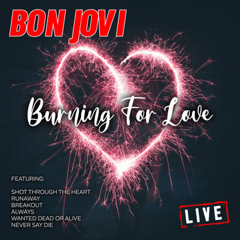 Bon Jovi - Burning For Love (Live)
