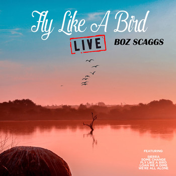 Boz Scaggs - Fly Like A Bird (Live)