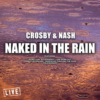 Crosby & Nash - Naked In The Rain (Live)