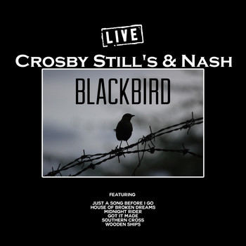 Crosby, Stills & Nash - Blackbird (Live)