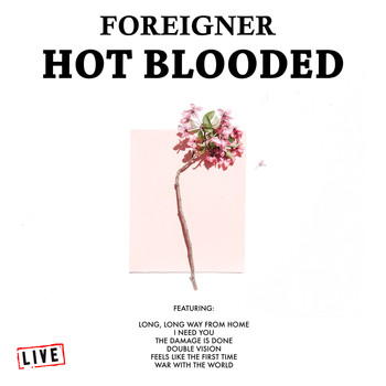 Foreigner - Hot Blooded (Live)