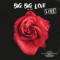 KD Lang - Big Big Love (Live)