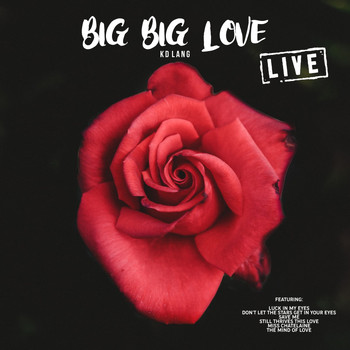 KD Lang - Big Big Love (Live)
