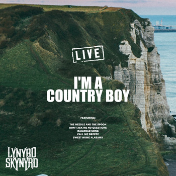 Lynyrd Skynyrd - I'm a Country Boy (Live)