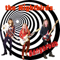 The Nightbirds - Dangerous