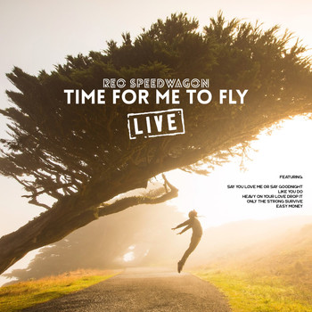 REO Speedwagon - Time For Me To Fly (Live)