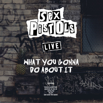 Sex Pistols - What You Gonna Do About It (Live)