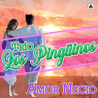 Trío Los Pingüinos - Amor Necio