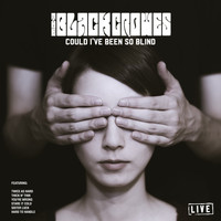 The Black Crowes - Could I've Been so Blind (Live)