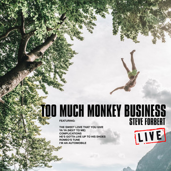 Steve Forbert - Too Much Monkey Business (Live)