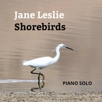 Jane Leslie - Shorebirds