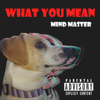 Mind Master - What You Mean (Explicit)