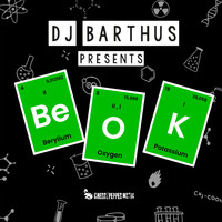 DJ Barthus - Be OK