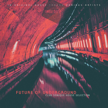 Various Artists - Future of Underground