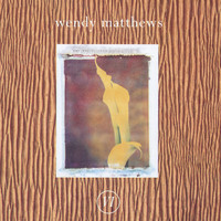 Wendy Matthews - VI