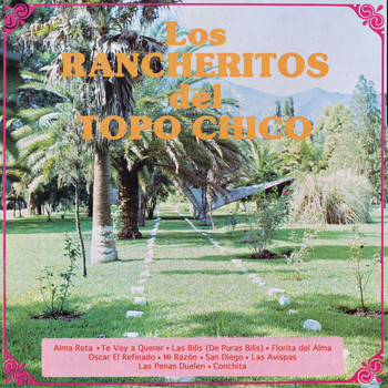 Los Rancheritos Del Topo Chico - Alma Rota