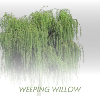 Various Artists - Weeping Willow