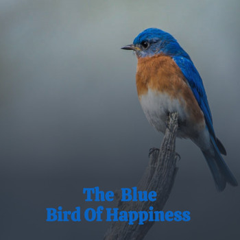 Various Artists - The Blue Bird of Happiness