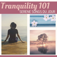 Tranquility Experts - Tranquility 101: Serene Songs du Jour