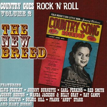 Various Artists - Country Goes Rock 'N' Roll, Vol. 2: The New Breed