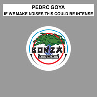 Pedro Goya - If We Make Noises This Could Be Intense