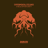 Experimental Feelings - A New Opportunity