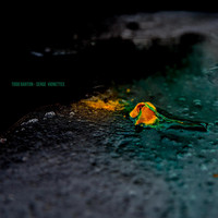 Todd Barton - Serge Vignettes (1/4)