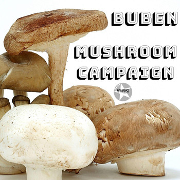 Buben - Mushroom Campaign
