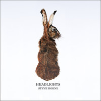 Steve Horne - Headlights