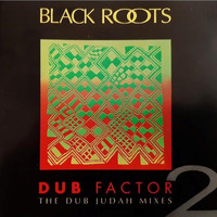 Black Roots - Dub Factor 2: The Dub Judah Mixes